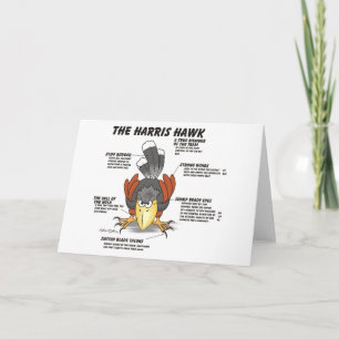 Cartão Cartoon Card Harris Hawk