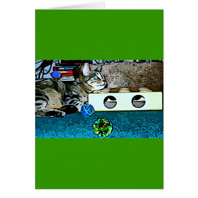 Cartão Cartoon Indigo (Frente)