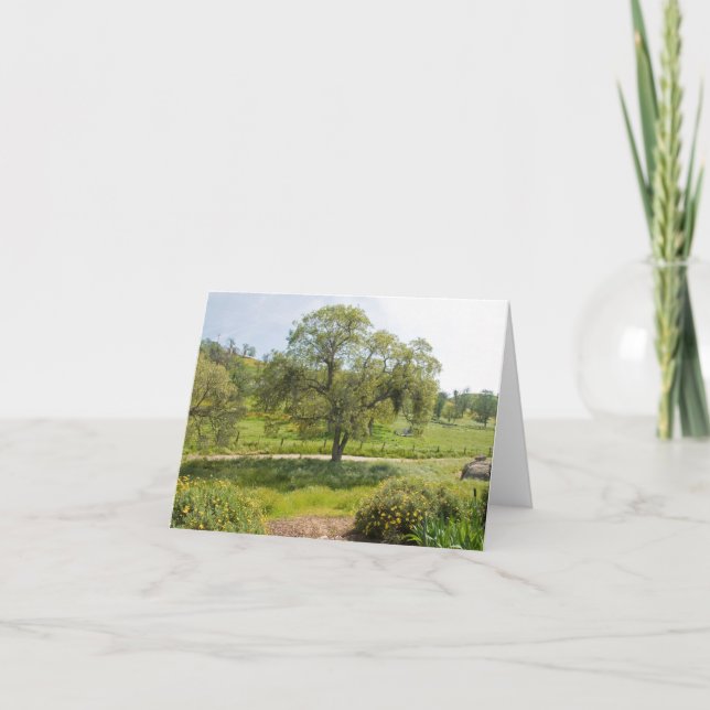 Cartão Carvalho de Vista do pátio de entrada coberto (Frente)