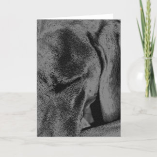 Cartão Carvão vegetal Ruka