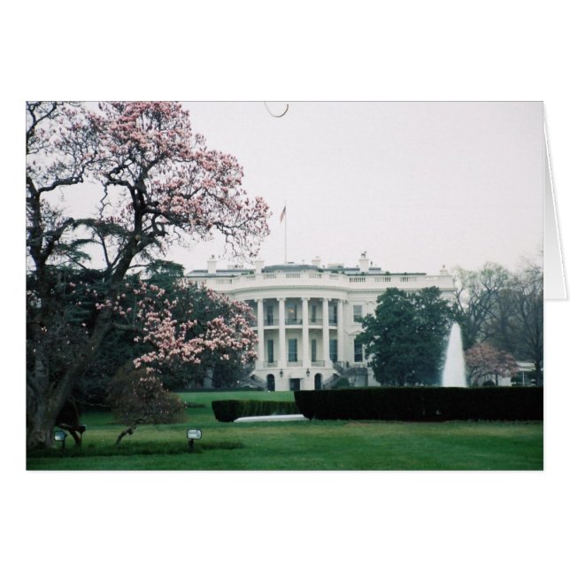 Cartão Casa Branca com Tcherry Blossoms (Frente Horizontal)