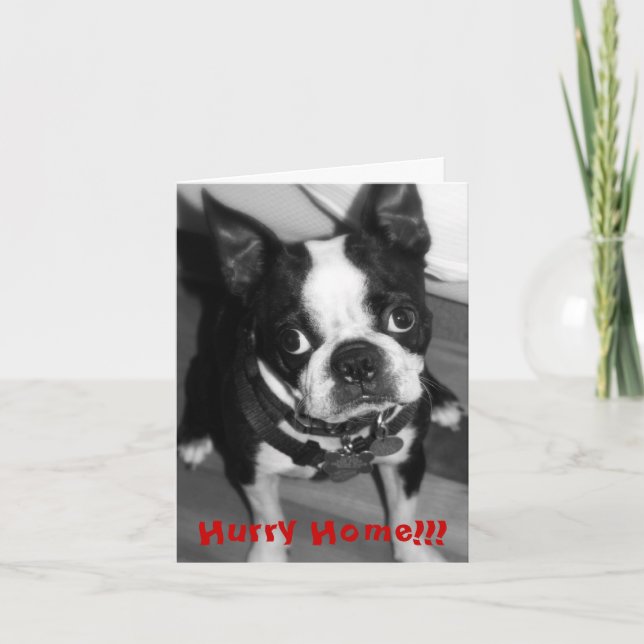 Cartão Casa da pressa (Frente)