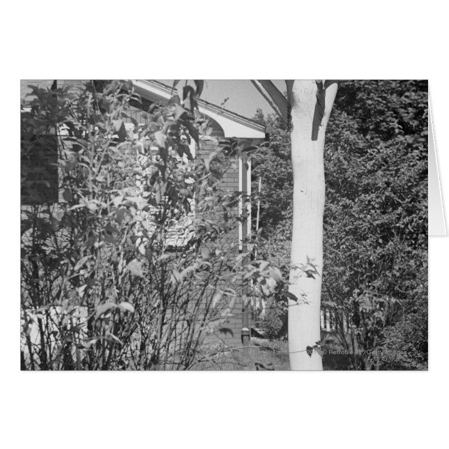 Cartão Casa de pássaros no jardim (Frente Horizontal)