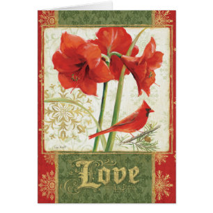 Cartão Casa para o amor do Amaryllis do Natal