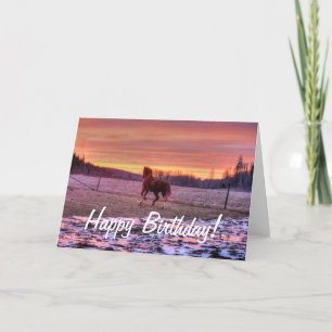Cartão Casa Running do garanhão no por do sol no rancho