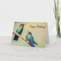 Casais de Beija-flor Conversando Feliz Aniversário