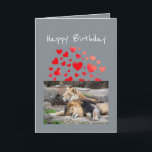 Cartão Casal de Brincadeiras de Leão Leão de Brincadeira<br><div class="desc">Aniversário para o seu marido,  namorado,  querida,  parceira Flirty. Eu seria o cartão de aniversário do Lion Humor Funny Animal</div>