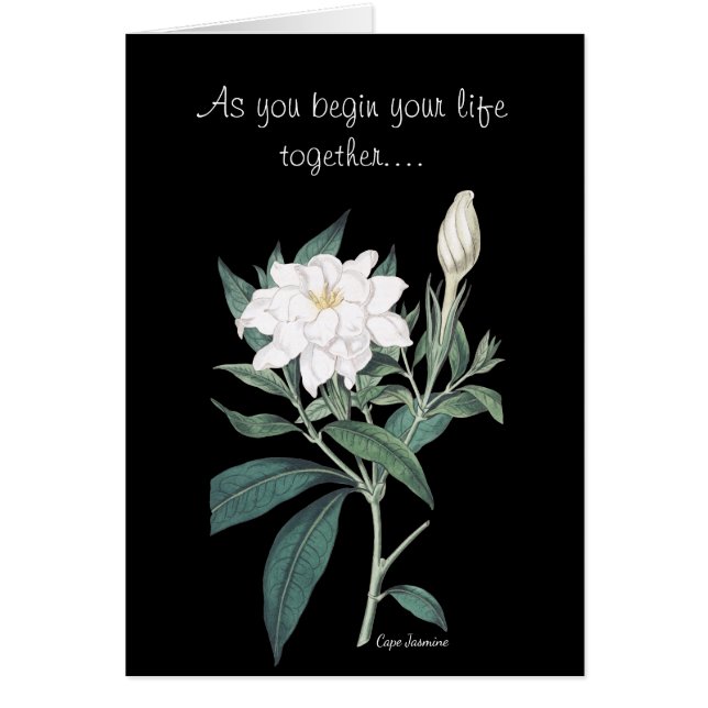 Cartão Casamento de Flores de Jasmine (Frente)