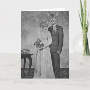 Cartão Casamento de gato