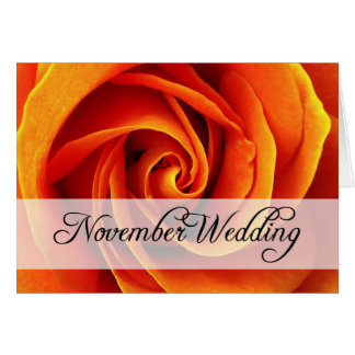 Cartão Casamento de novembro : rosa da temporada :