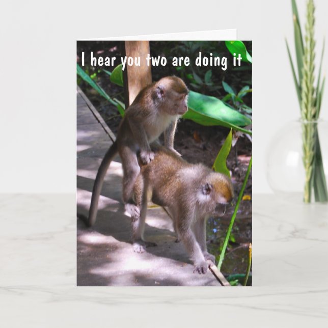 Cartão Casamento Humorístico Melhores Desejos para um Cas (Frente)