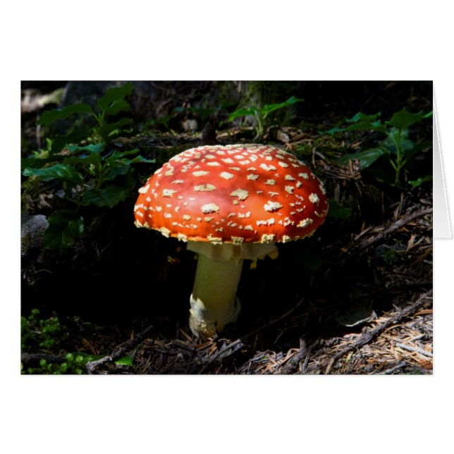 Cartão Cascades Centrais, Estado de Washington (Frente Horizontal)