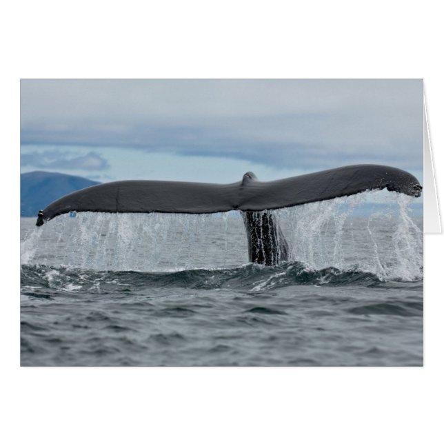 Cartão Cascata (Frente Horizontal)