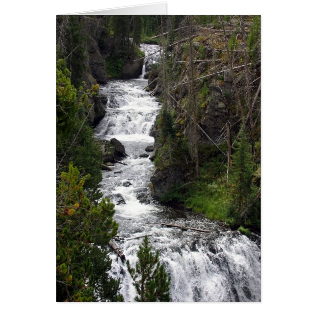 Cartão cascata (Frente)