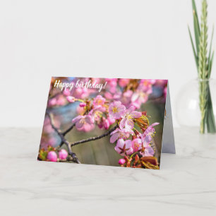 Cartão Cascata Cheia De Flores Sakura No Dia Da Primavera