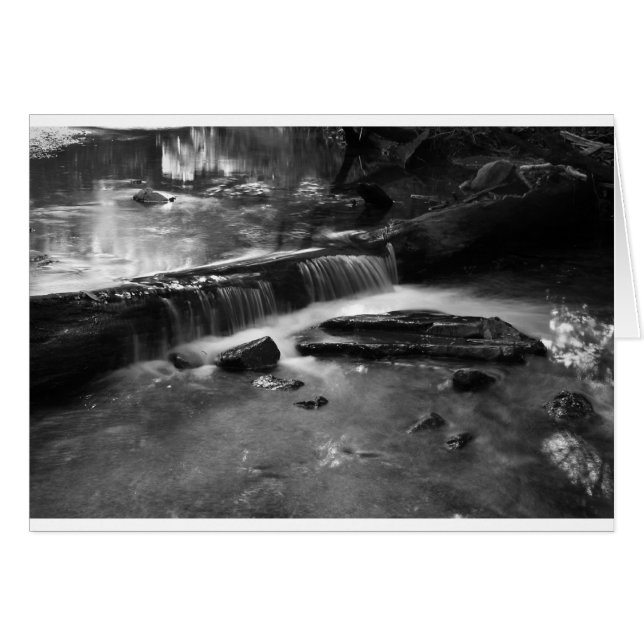 Cartão Cascata em mono (Frente Horizontal)