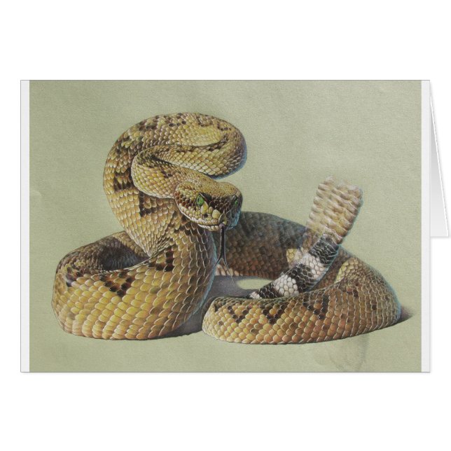 Cartão Cascavel (Frente Horizontal)