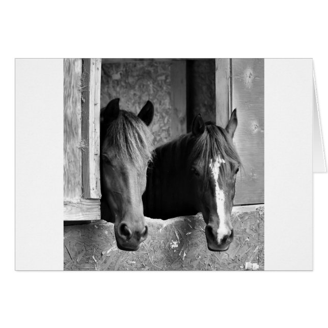 Cartão Casos estáveis (Frente Horizontal)