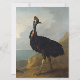 Cartão Cassowary (Ave Australiana) (Arte Animal Selvagem)
