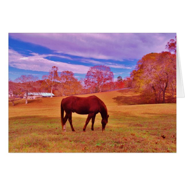 Cartão > Castanho em um campo de cor sonâmbulo (Frente Horizontal)