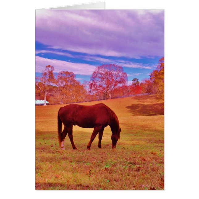 Cartão > Castanho em um campo de cor sonâmbulo (Frente)
