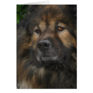 Cartão Castle Dog