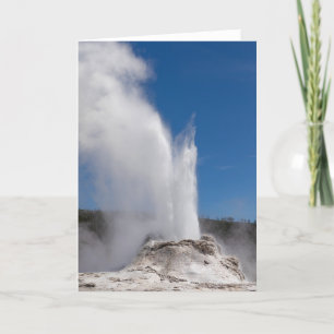 Cartão Castle Geyser Folheto de Saudação