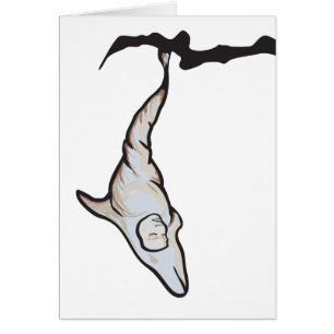 Cartão casulo de golfinho-dormente