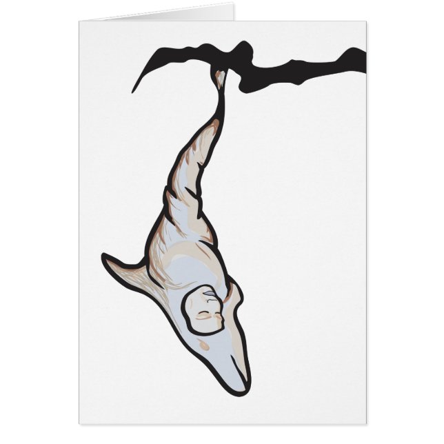 Cartão casulo de golfinho-dormente (Frente)