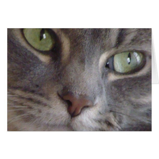 Cartão Cat (Frente horizontal)