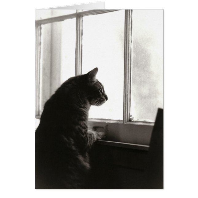 Cartão Cat. 2 (Frente)