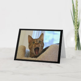 Cartão Cat Cantando Feliz Aniversário