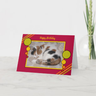 Cartão Cat curled up asleep photo red green birthday