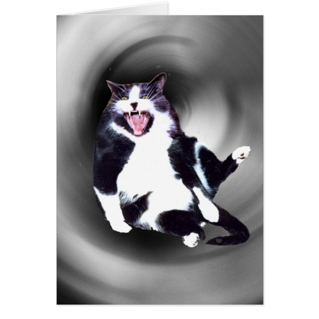 Cartão Cat deslizando para baixo na placa (Frente)