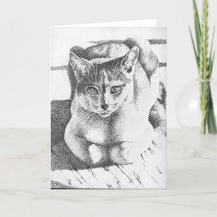 Cartão Cat Greeting Card
