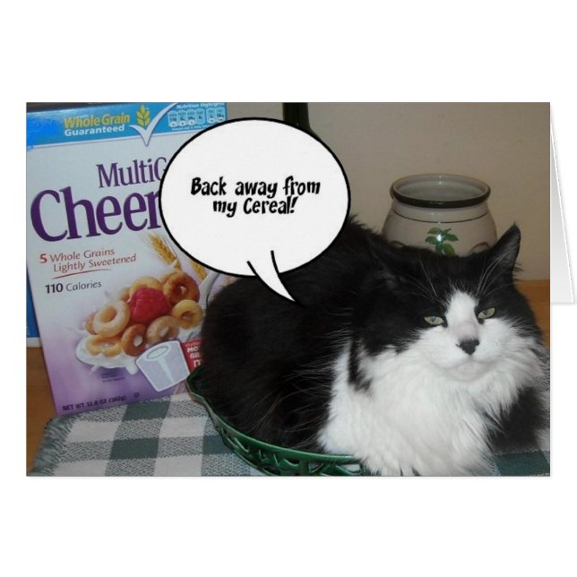 Cartão Cat Humor (Frente Horizontal)