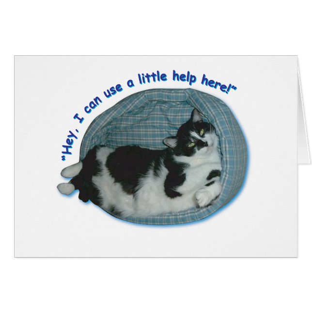 Cartão Cat Humor (Frente Horizontal)