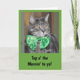 Cartão Cat in bowtie for St. Patrick's Day