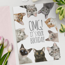 Cartão Cat Lady Birthday | OMG! É seu aniversário engraça