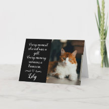 Cat Loss Sympathy Card Personalized Photo Pet Name