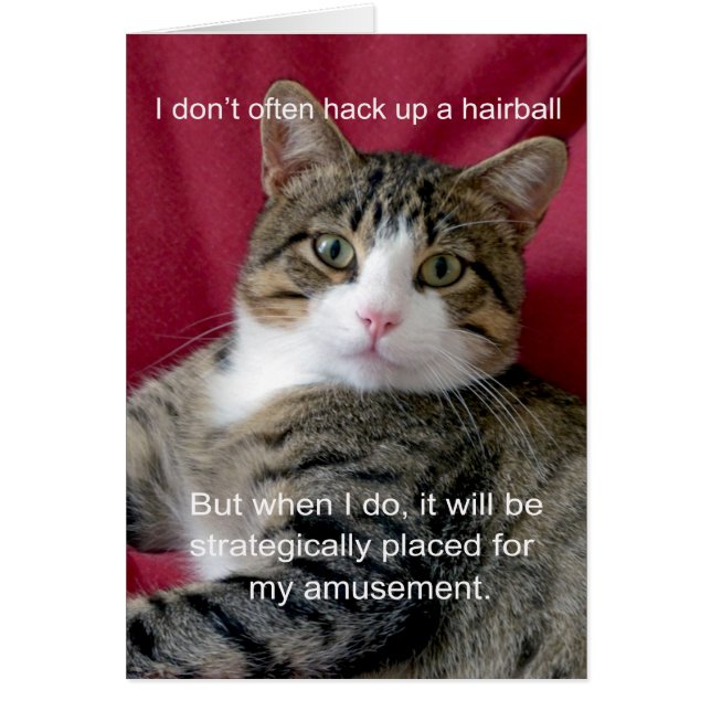 Cartão Cat Meme (Frente)