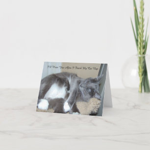 Cartão Cat Nap Card