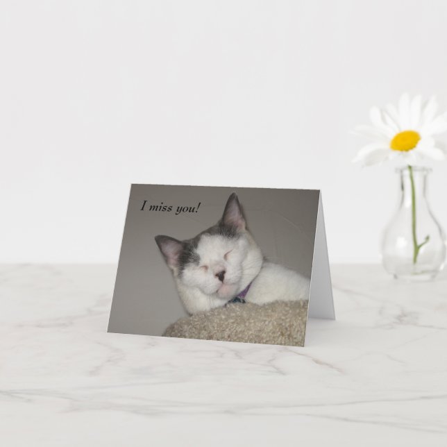 Cartão Cat Nap Falta-Te (Planta pequena)