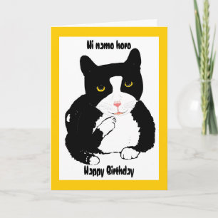 Cartão Cat on a Birthday Card add name