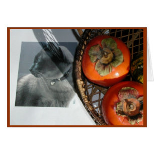 Cartão Cat & Persimmons