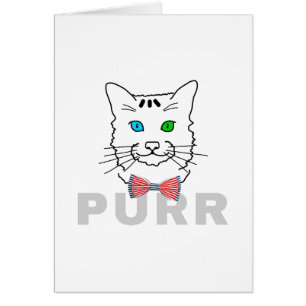Cartão Cat Purr