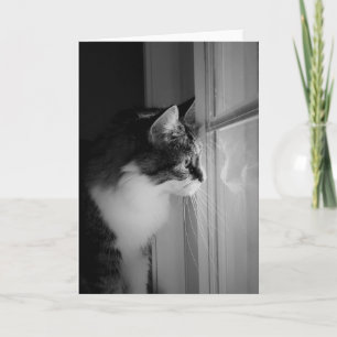 Cartão Cat Reflection Blank Greeting Card