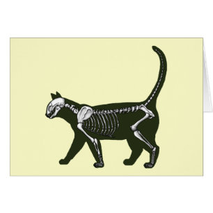 Cartão Cat Skeleton
