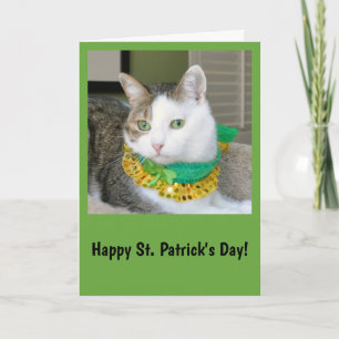 Cartão Cat St. Patrick's day card