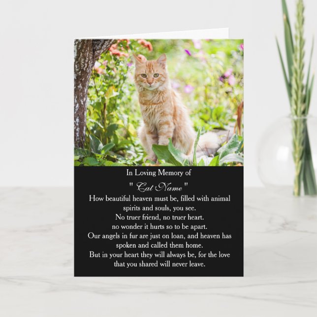 Cartão Cat Sympathy Card Personalized photo Pet Memorial (Frente)
